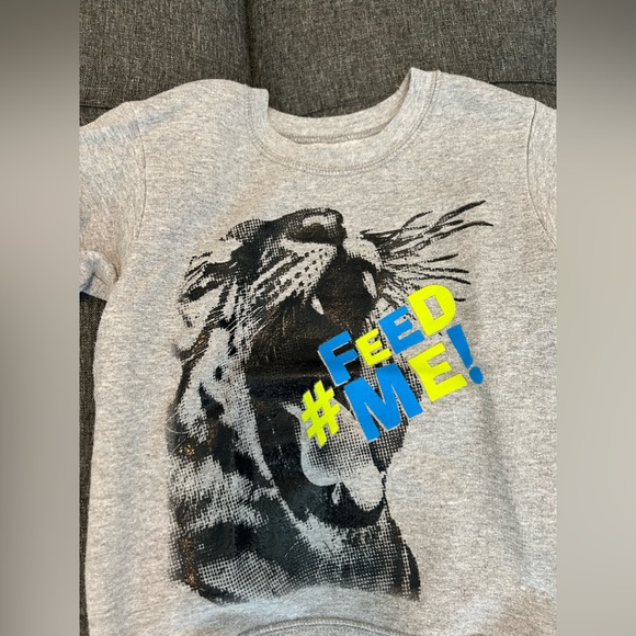 👦Hanes Kids Roundneck Sweater color Grey size XS, Like New Condition - Picture 2 of 3